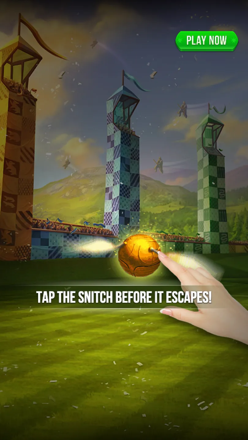 Catch the Snitch